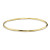 Glamazon Very Thin Bangle Bracelet [2BGLX0796]