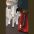 Ricci Stainless Steel Flatware Pattern Ascot [5FASC1505]