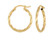 Hoop Earring [JEHOP0161]