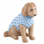 Labradoodle in Blue Sweater [GGFIG0065]
