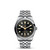 Black Bay 36 [TPWAT0666]