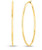 Designer Gold Hoop Earrings [JEHOP0362]