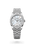 Datejust 36 [M126284RBR-0011]