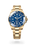 Rolex Deepsea [M136668LB-0001]
