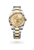 Sky-Dweller [M336933-0001]