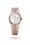 Land-Dweller 36 [M127235-0001]