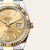 Datejust 41 [M126333-0009]