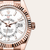 Sky-Dweller [M336235-0003]
