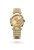 Day-Date 36 [M128238-0008]