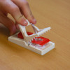 The Big Cheese Ultra Power Mouse Trap Ready Baited Twin Pack