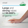 Clinell Universal Cleaning and Surface Disinfection Wipes 40