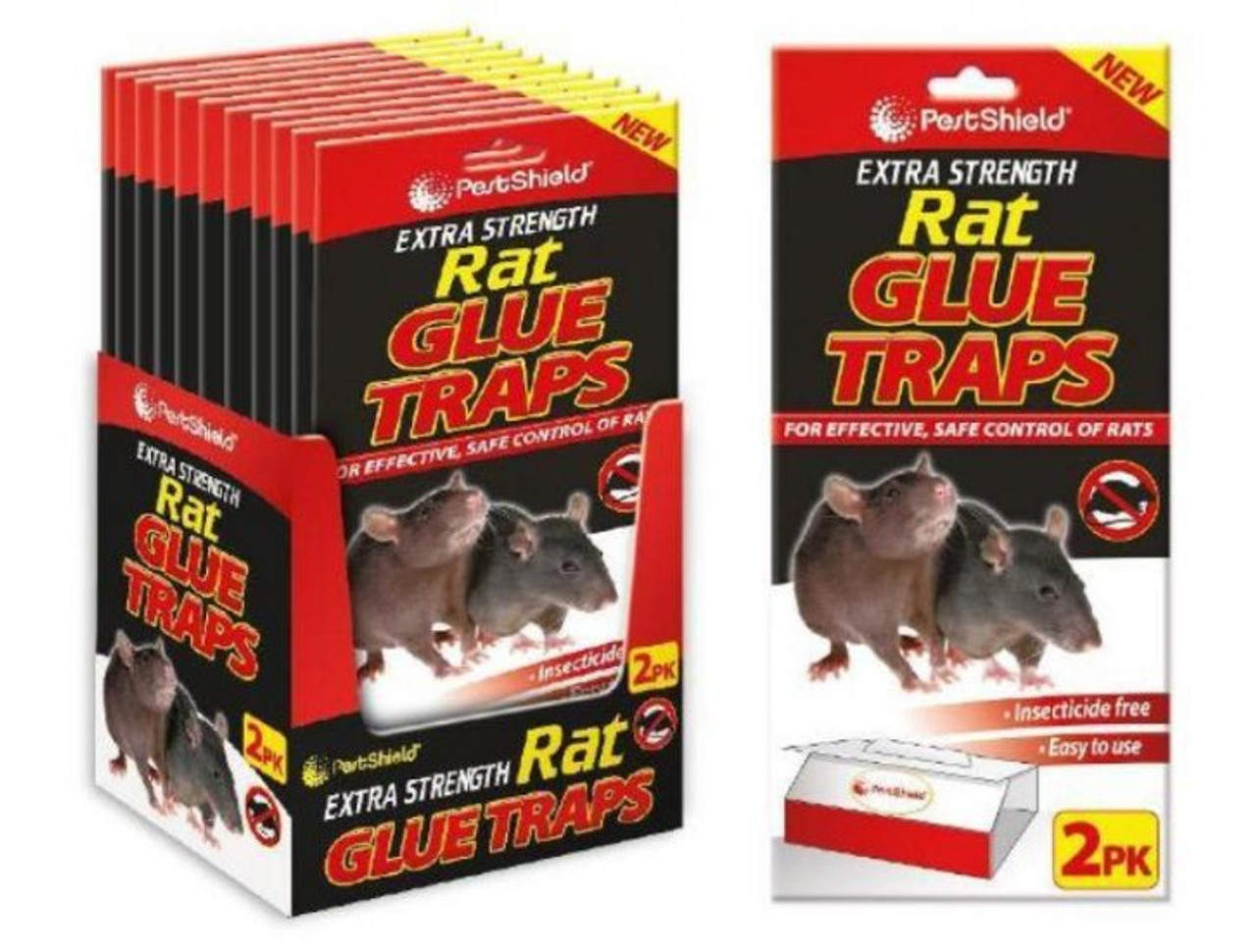 rat glue traps