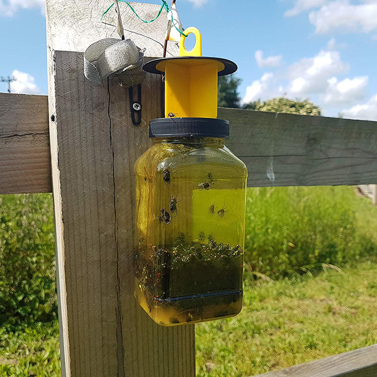 The Buzz Fly Catcher with Insect Attractant Bait Twin Pack