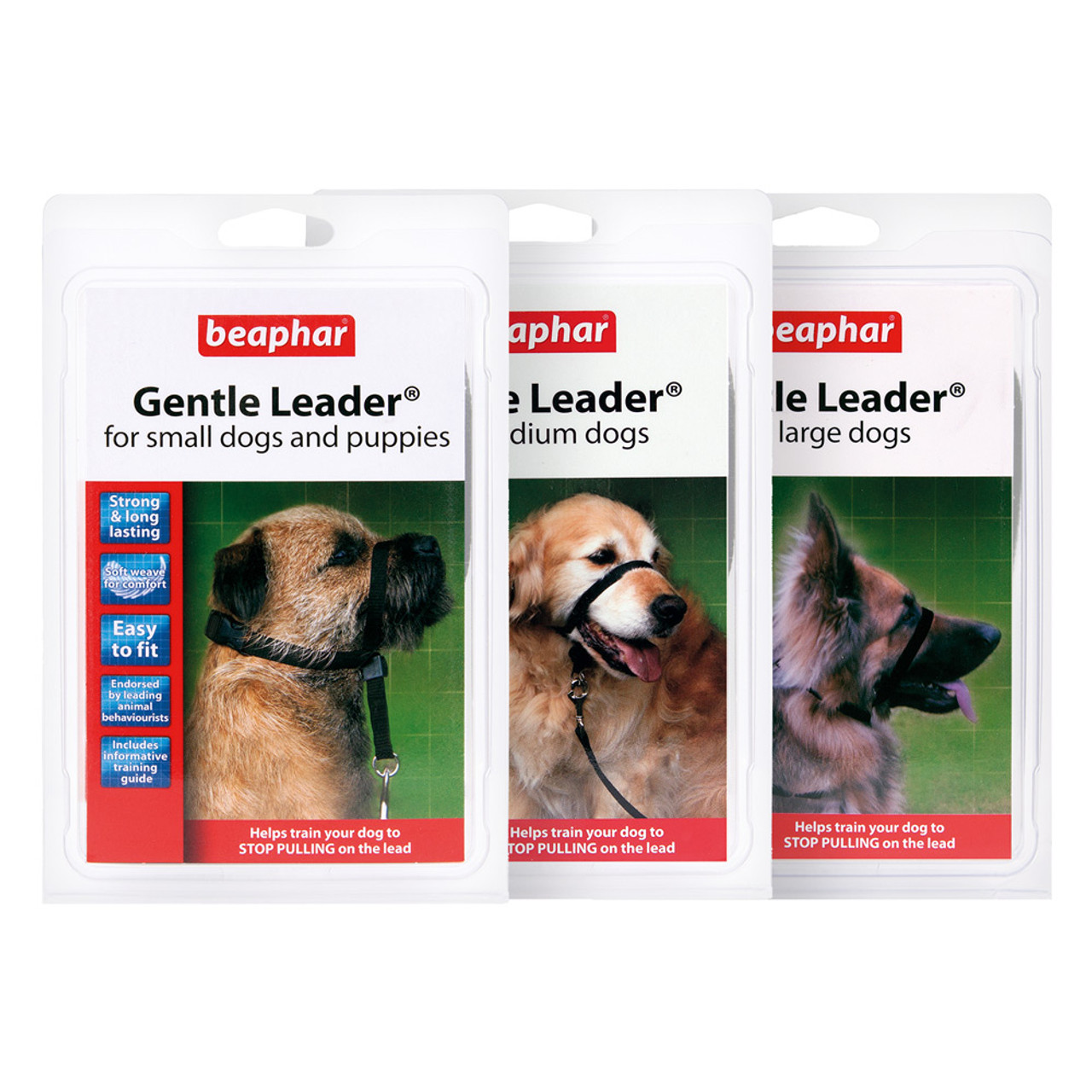 gentle leader harness