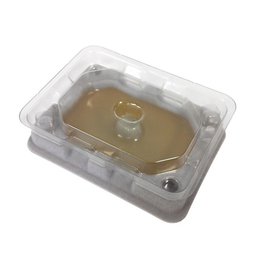 Mastertrap Bed Bug Catcher Monitor Traps Pest Control Hub