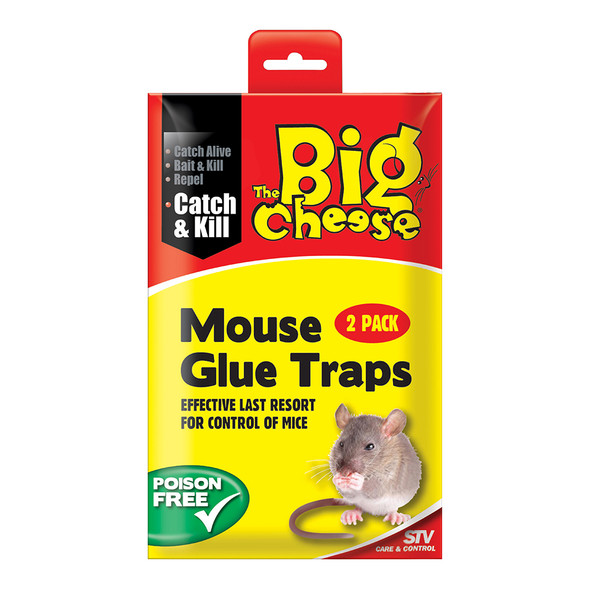 The Big Cheese Mouse Glue Traps Twin Pack