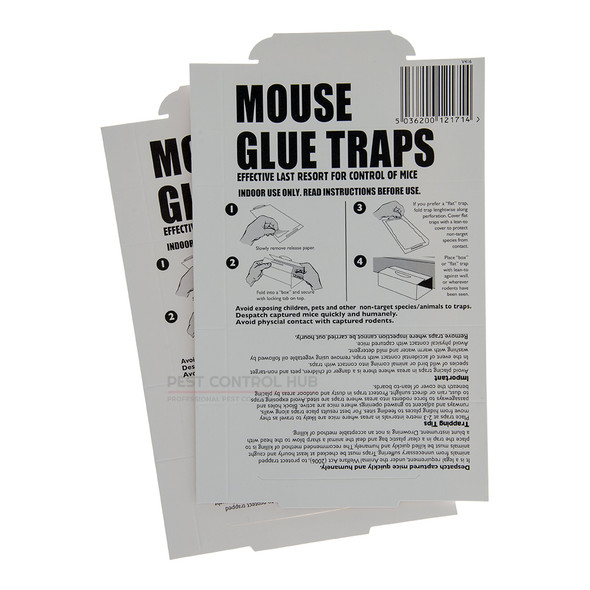 The Big Cheese Mouse Glue Traps Twin Pack