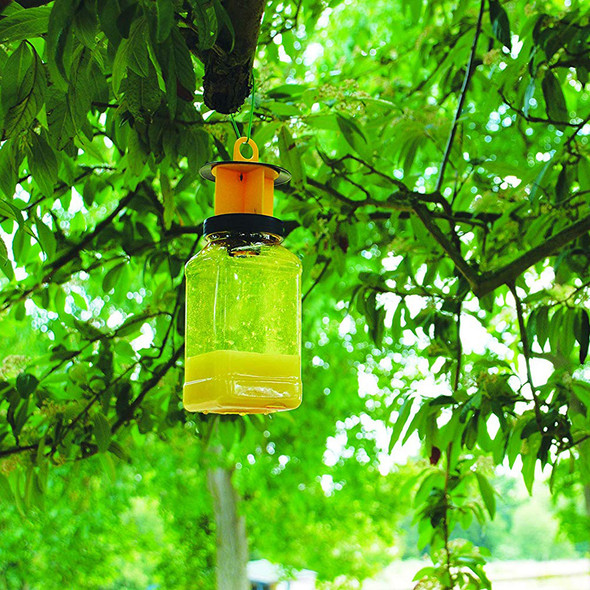 The Buzz Fly Catcher with Insect Attractant Bait Twin Pack The Buzz Fly Catcher with Insect Attractant Bait Twin Pack