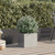 Planter Silver 12.6"x11.8"x11.4" Stainless Steel A949-841543
