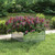 Garden Raised Bed 39.4"x39.4"x17.7" Galvanized Steel Silver A949-316885