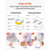 Cutting Plates, 6 Pcs, 8.86 x 6.14 in, Clear Polycarbonate Material, Die Cut Pads Compatible with   E415-DPPJ6INCHSD0HCAL9001V0