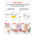 Cutting Plates, 6 Pcs, 6.69 x 3.15 x 0.1 in, Clear Polycarbonate Material, Die Cut Pads Compatible  E415-DPPJ3INCHSD0Y8NQ5001V0