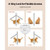 Cat Door for Window, Adjustable to Fit Window Width 35"-40", 4 Secure Lock Modes, Aluminum Frame an E415-CHMMZYSSK354BMYGM001V0