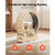 Cat Exercise Wheel, 48 in Wooden Cat Running Wheel for Indoor Cats up to 28 lbs, Cats Treadmill wit E415-MZMPBJMWSMDB3W6JK001V0