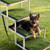Dog Stairs for Car, 4 Steps Extra Wide Foldable Dog Ramp for Large Dogs with Non-Slip Surface, Port E415-KZDGLTEKJCK53PHLZ001V0
