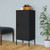  Storage Cabinet Black 16.7"x13.8"x40" Steel A949-336196