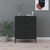  Storage Cabinet Black 31.5"x13.8"x40" Steel A949-336142