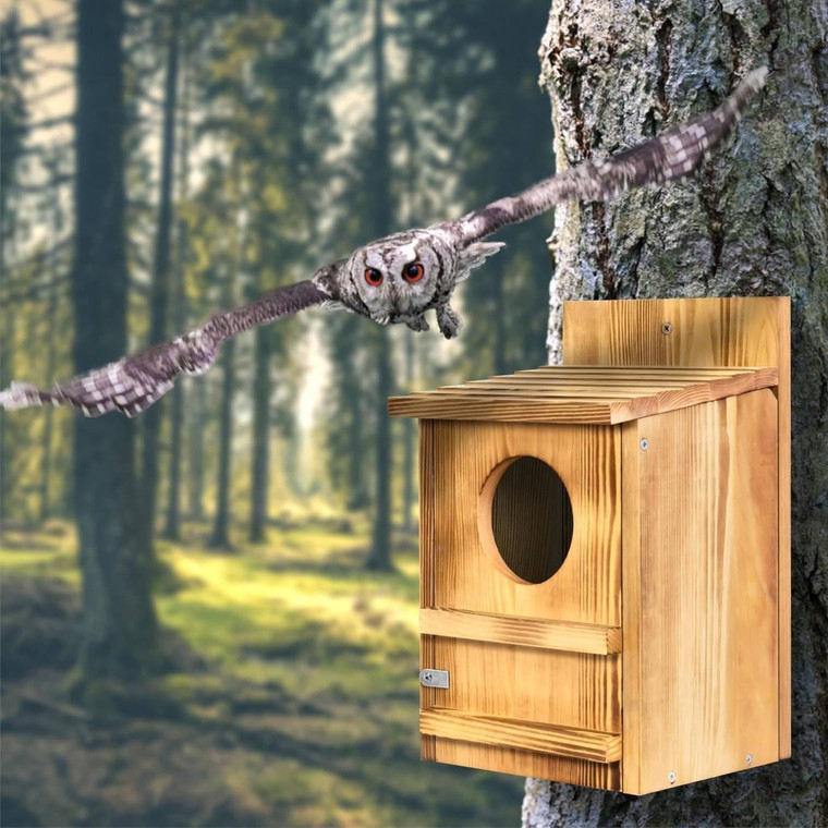 Outdoor Wooden Screech Owl BirdHouse for Mounting - Easy to Assemble Q280-SOBHW38958174
