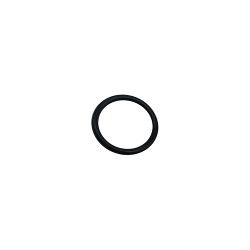 VRBP100 - Gas Block O Ring