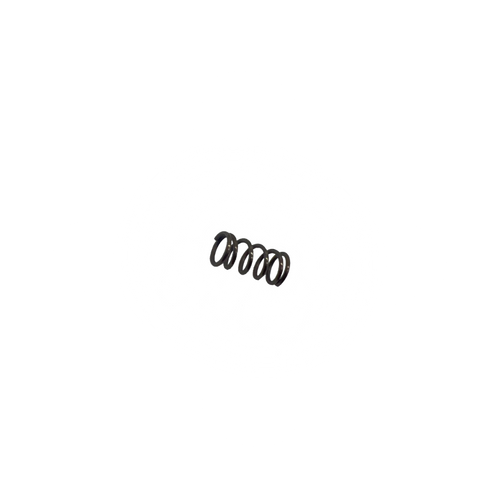 Single Shot - Sight Windage & Plunger Spring