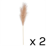 116cm Tan Luxury Pampas - 2 stems