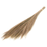 65cm Dried Natural Broom Grass Bundle - 100g (1)