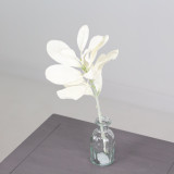 Cream Lambs Ear Stem, measuring 37cm. Cream Lambs Ear Stem, measuring 37cm.