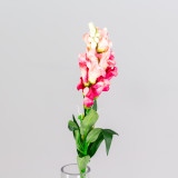 A Pink Snapdragon Flower, measuring approx. 59cm!