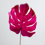 A Magenta Velvet Monstera Stem, measuring approx. 80cm!
