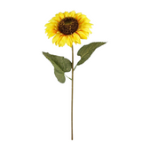 A 60cm Yellow Sunflower Stem. A 60cm Yellow Sunflower Stem.