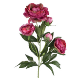 A 67cm Autumn Mauve Peony Spray.