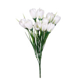 Spring has arrived! Include this White Crocus Bunch in a March or April arrangement for a classic seasonal touch. Spring has arrived! Include this White Crocus Bunch in a March or April arrangement for a classic seasonal touch.