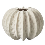 A 13.5cm Natural Harvest Gourd Vase, manufactured by Oasis Floral.