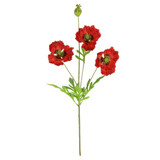 A 68cm red grand oriental poppy stem.