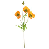 A 68cm orange grand oriental poppy stem.