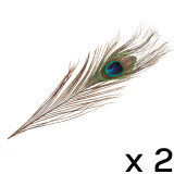 A Pack of Two Peacock Feathers, manufactured by Trimits.