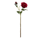 A 50cm Fresh Touch Red Rose Spray. A 50cm Fresh Touch Red Rose Spray.
