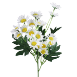 A 56cm White Daisy Spray.