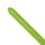 A pack of 50 260 Neon Green XXX Nozzle Up Entertainer Balloons, manufactured by Sempertex.