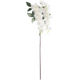 A 105cm white hanging wisteria spray.